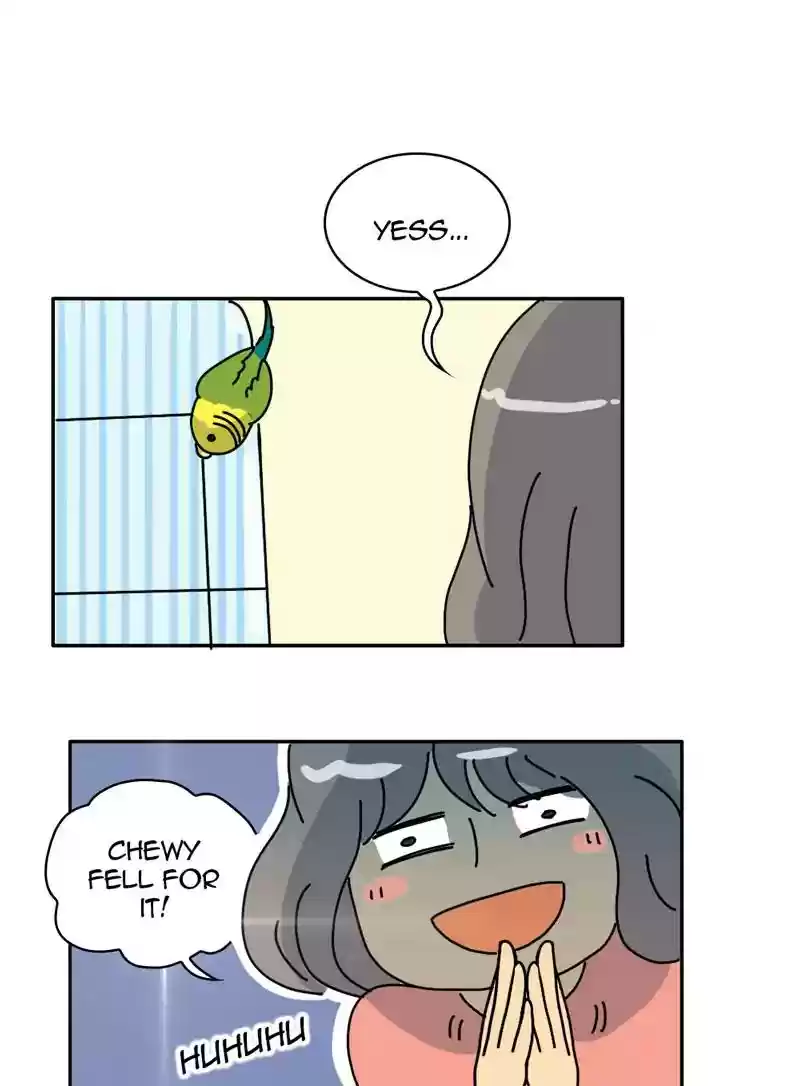 A Budgie's Life Chapter 329: Ep.328: