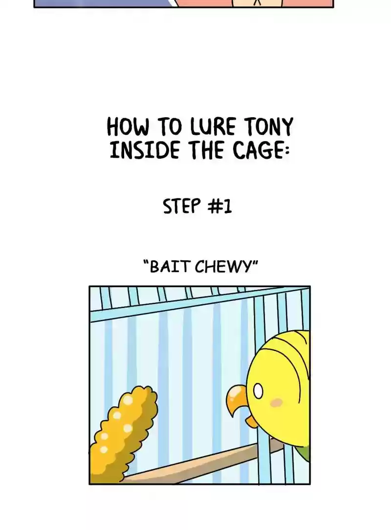 A Budgie's Life Chapter 329: Ep.328: