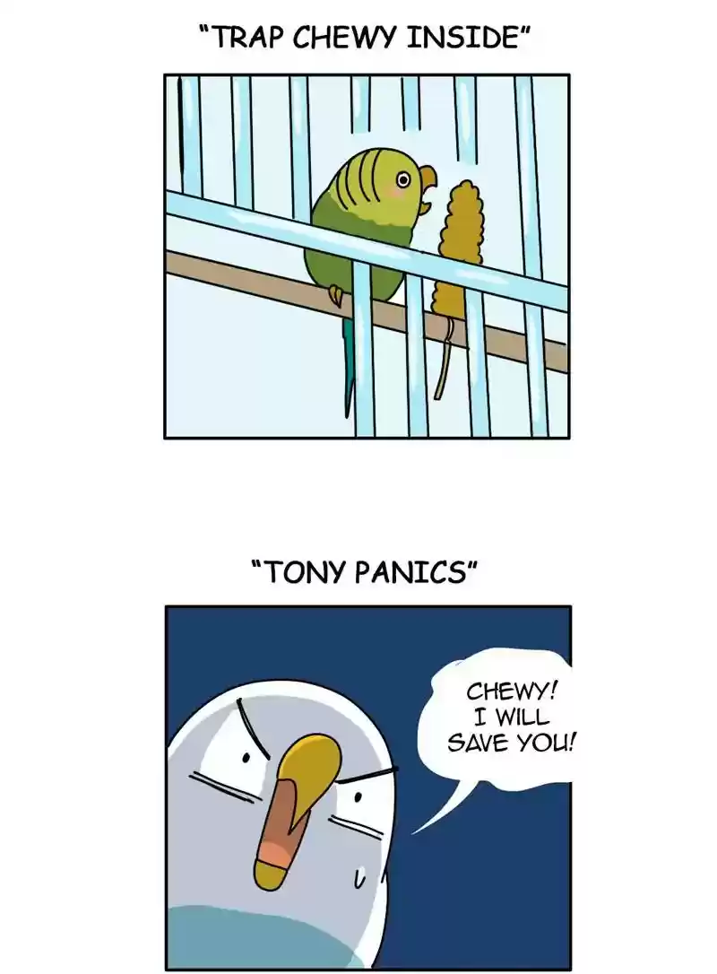 A Budgie's Life Chapter 329: Ep.328: