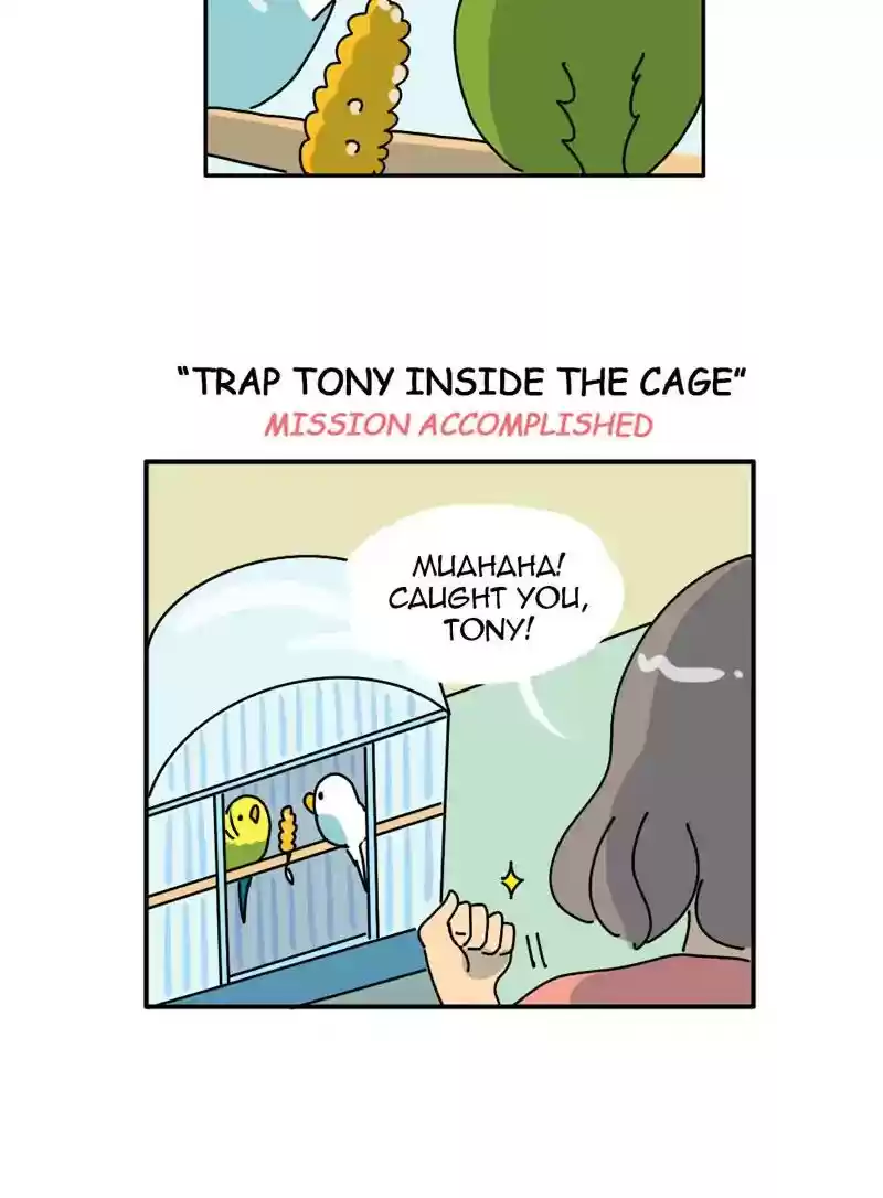 A Budgie's Life Chapter 329: Ep.328: