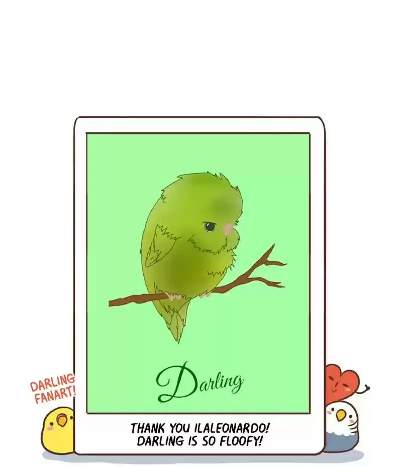 A Budgie's Life Chapter 329: Ep.328: