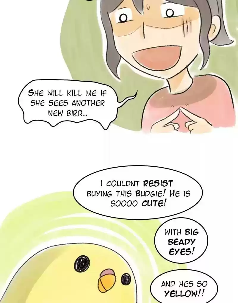 A Budgie's Life Chapter 33: Ep.33: