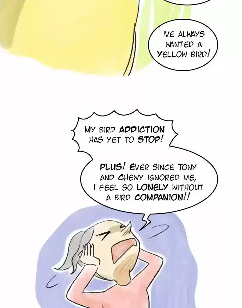 A Budgie's Life Chapter 33: Ep.33: