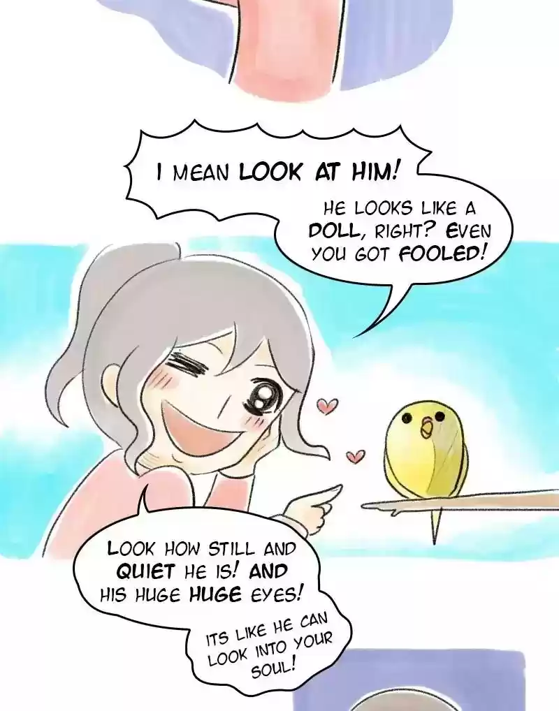 A Budgie's Life Chapter 33: Ep.33: