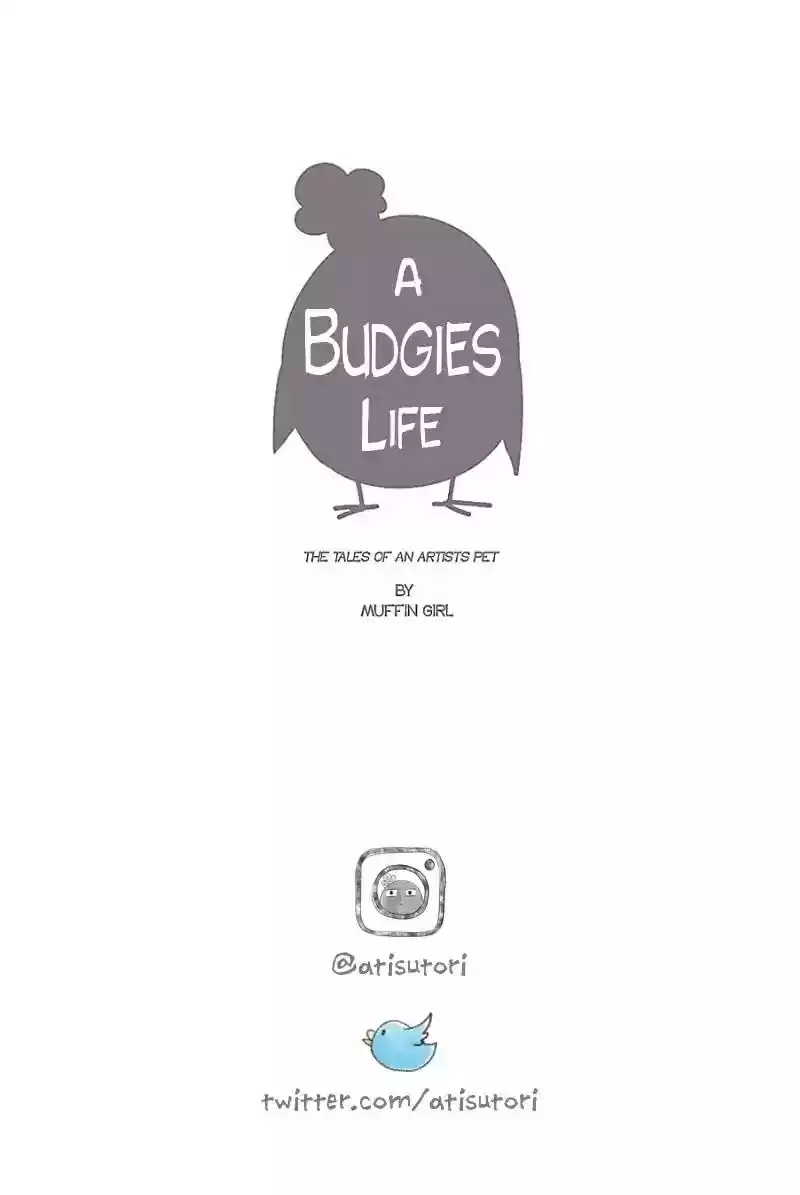 A Budgie's Life Chapter 33: Ep.33: