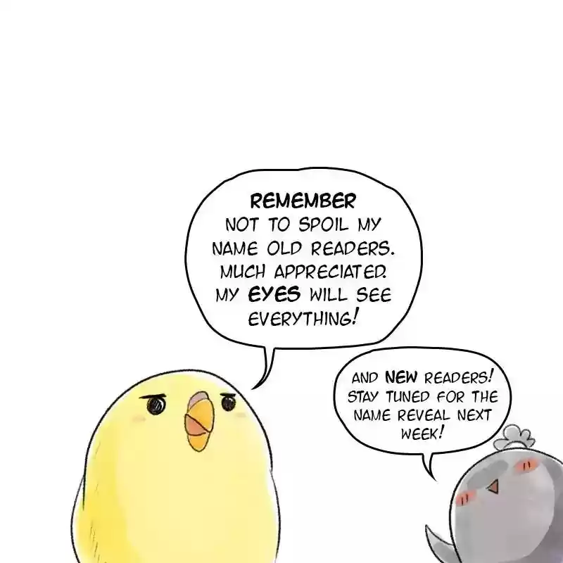 A Budgie's Life Chapter 33: Ep.33: