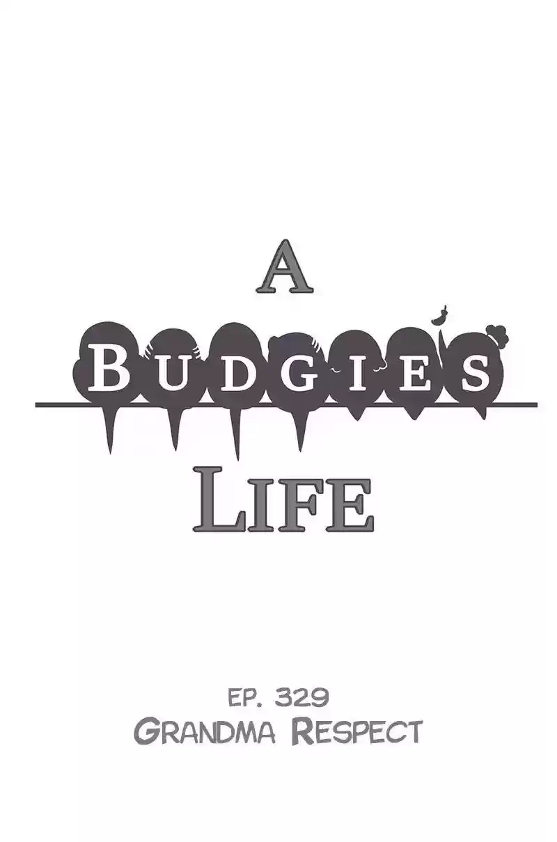 A Budgie's Life Chapter 330: Ep.329: