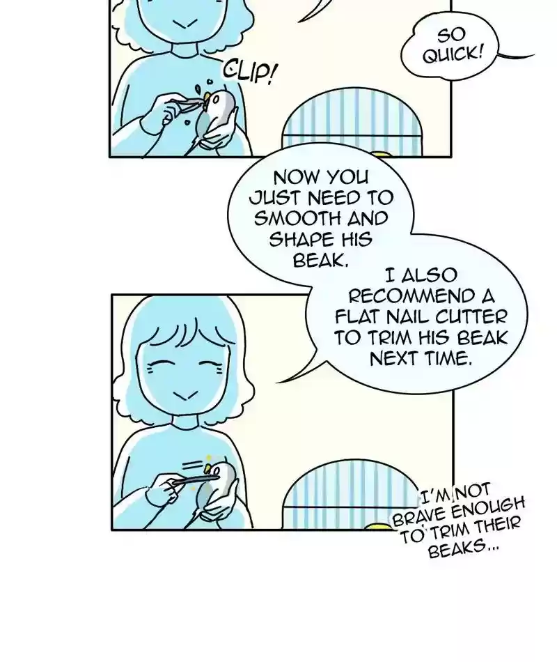 A Budgie's Life Chapter 330: Ep.329: