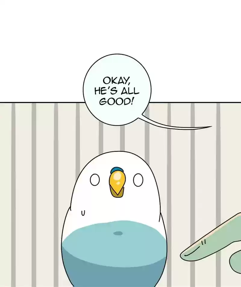 A Budgie's Life Chapter 330: Ep.329: