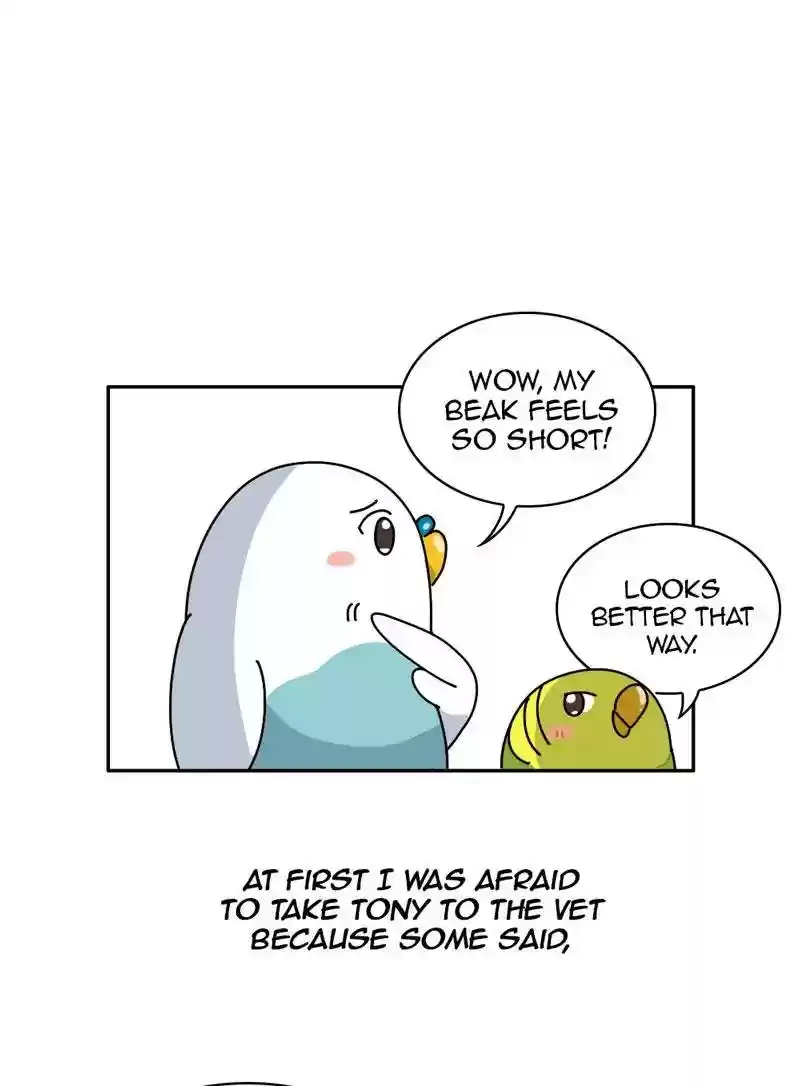 A Budgie's Life Chapter 330: Ep.329: