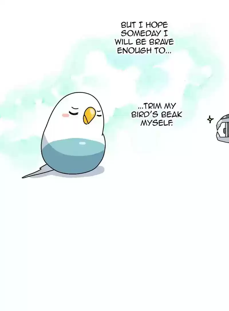 A Budgie's Life Chapter 330: Ep.329: