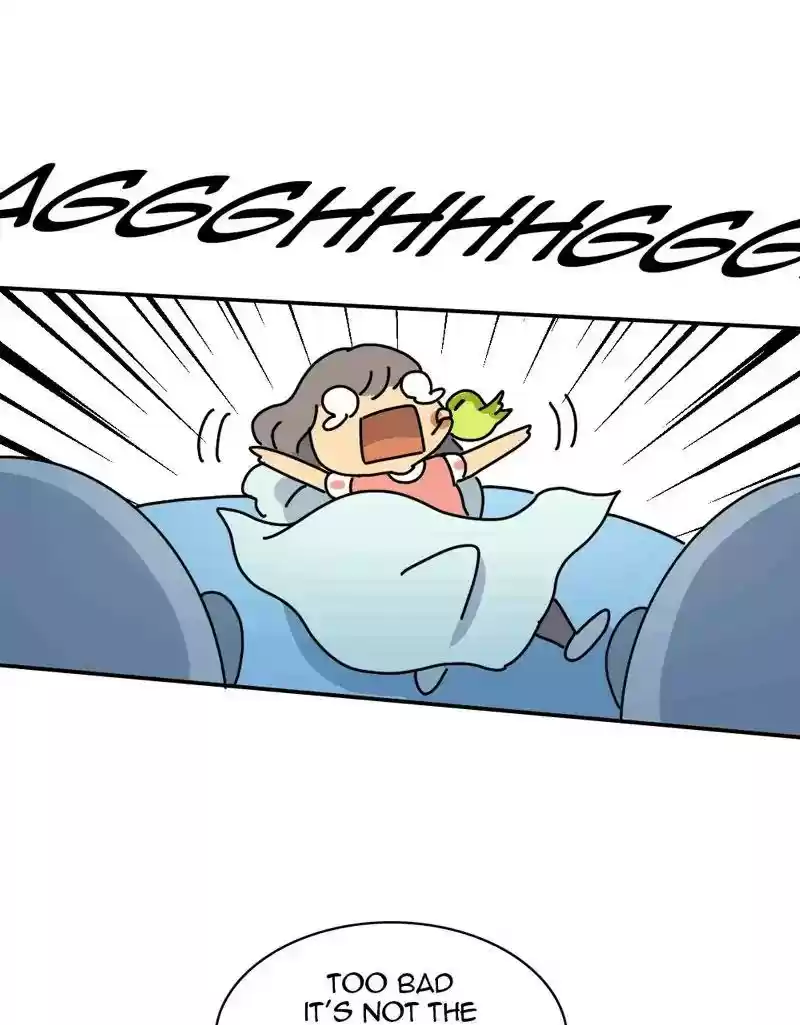 A Budgie's Life Chapter 331: Ep.330: