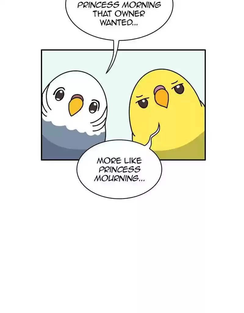 A Budgie's Life Chapter 331: Ep.330: