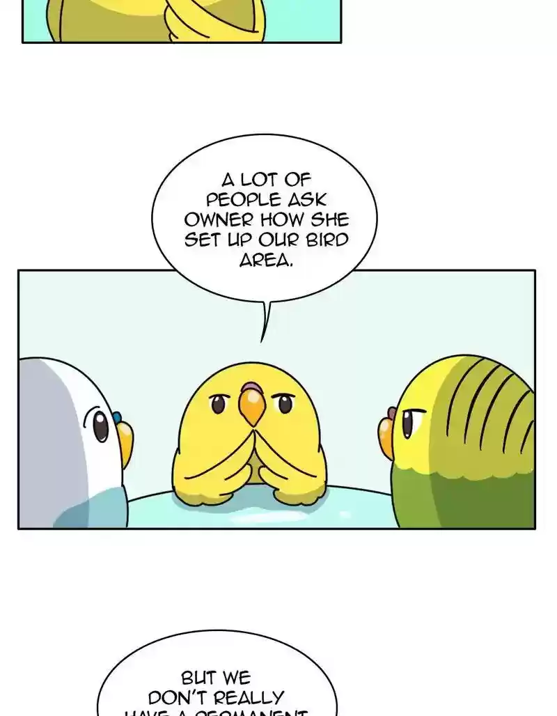 A Budgie's Life Chapter 332: Ep.331: