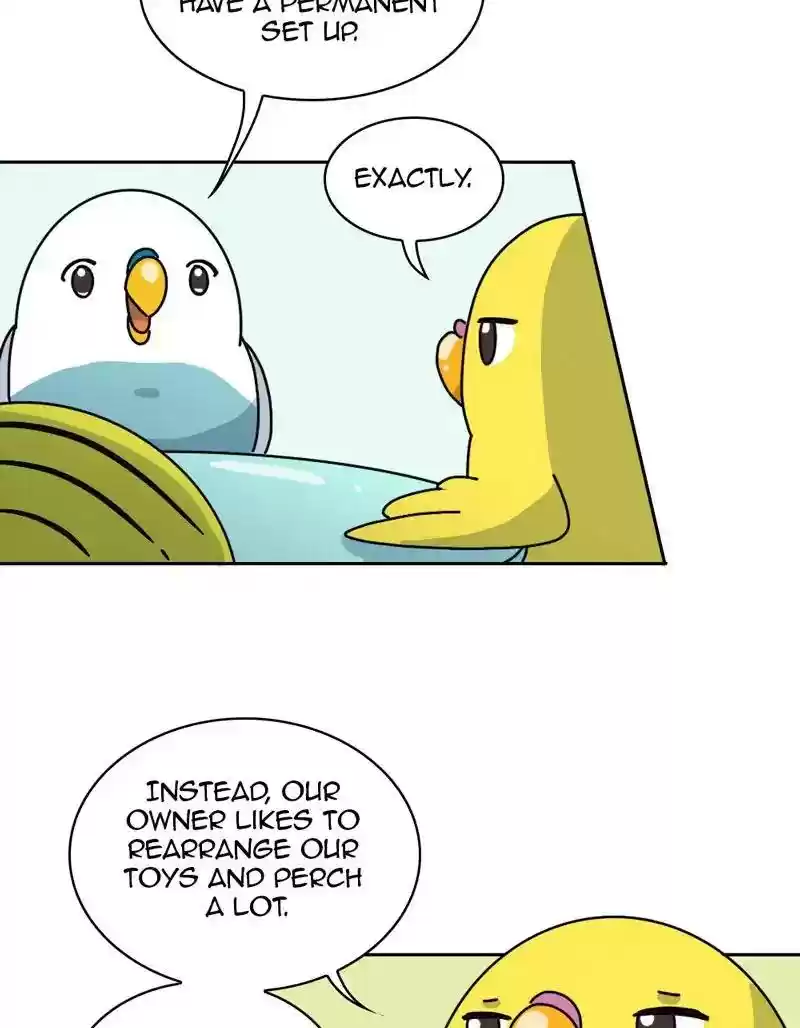 A Budgie's Life Chapter 332: Ep.331: