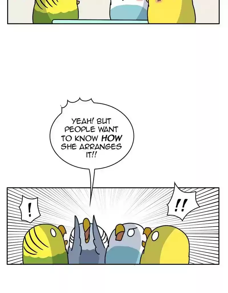 A Budgie's Life Chapter 332: Ep.331: