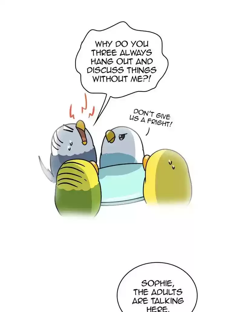 A Budgie's Life Chapter 332: Ep.331: