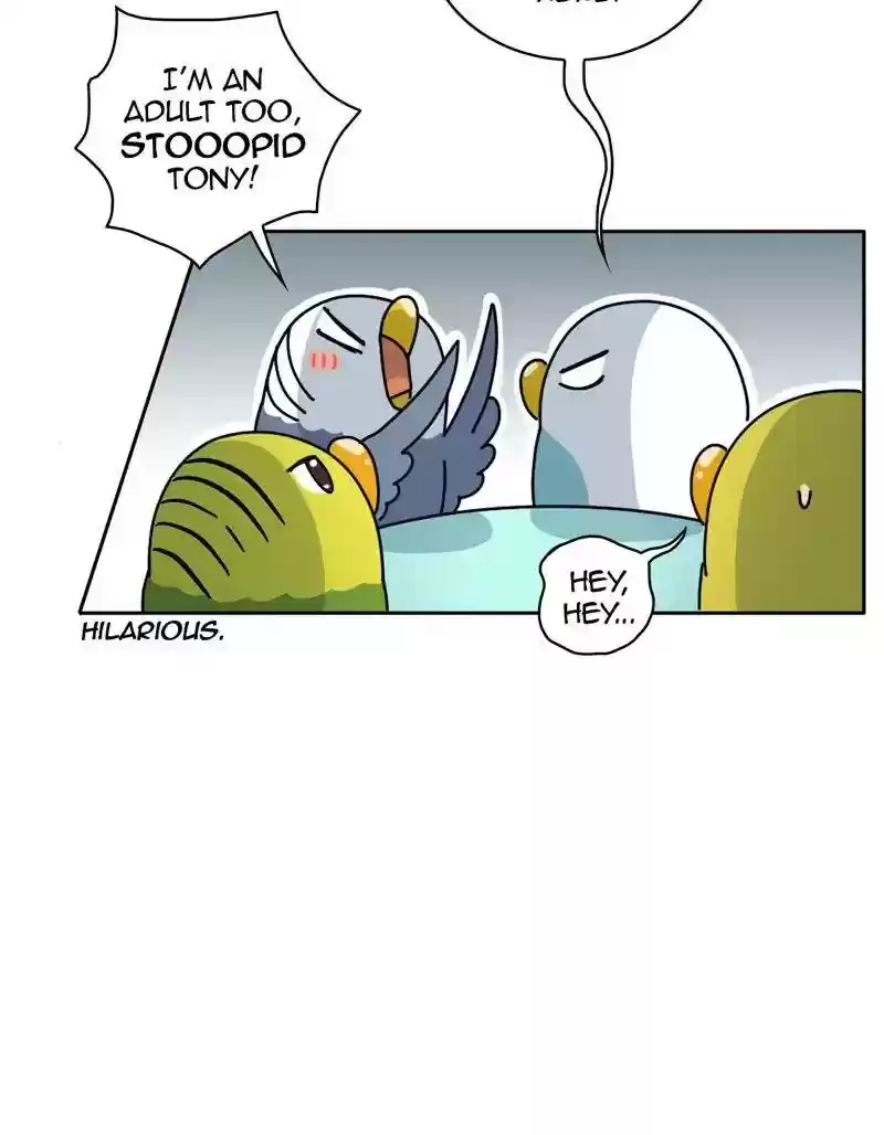 A Budgie's Life Chapter 332: Ep.331: