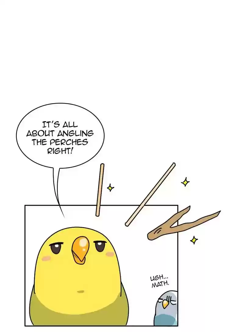 A Budgie's Life Chapter 332: Ep.331:
