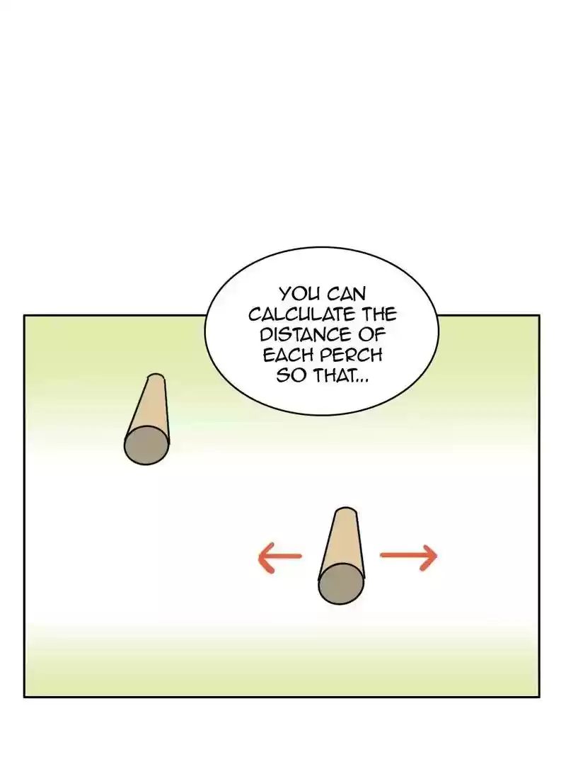 A Budgie's Life Chapter 332: Ep.331: