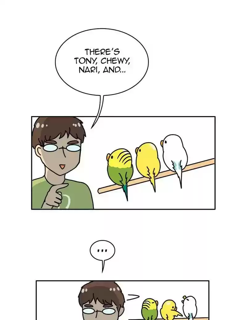 A Budgie's Life Chapter 333: Ep.332: