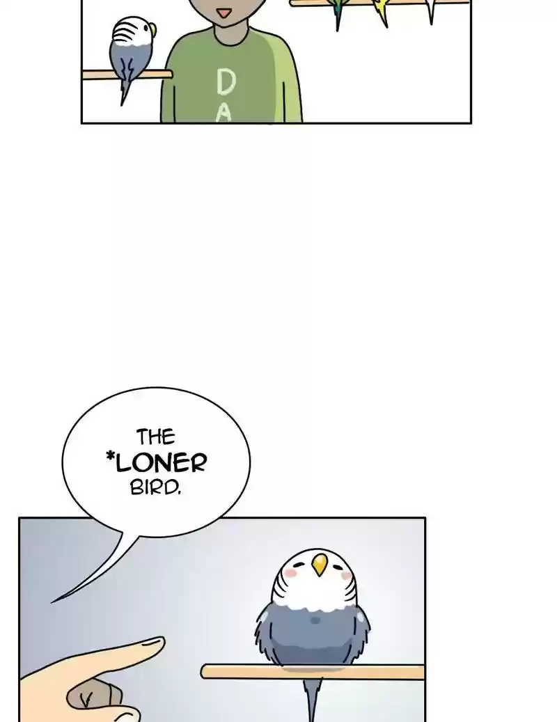 A Budgie's Life Chapter 333: Ep.332: