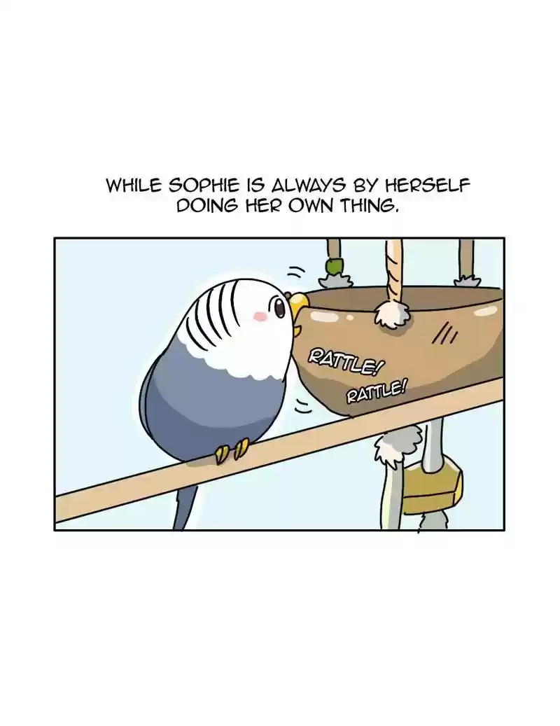 A Budgie's Life Chapter 333: Ep.332:
