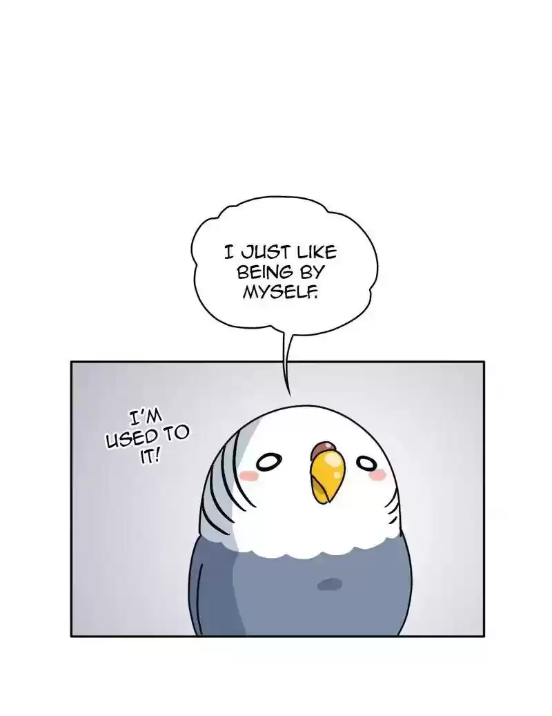A Budgie's Life Chapter 333: Ep.332: