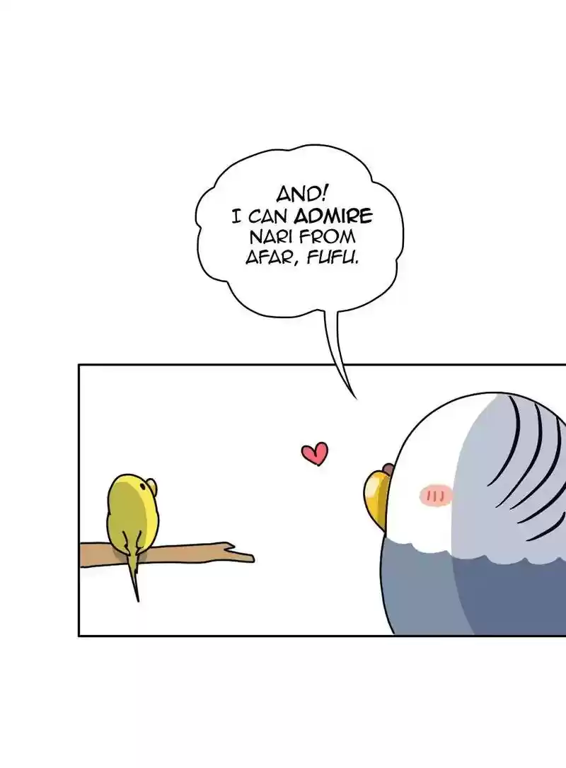 A Budgie's Life Chapter 333: Ep.332: