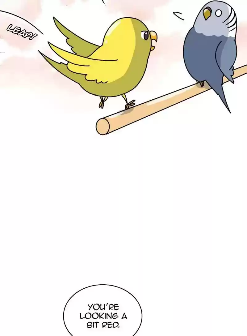 A Budgie's Life Chapter 333: Ep.332: