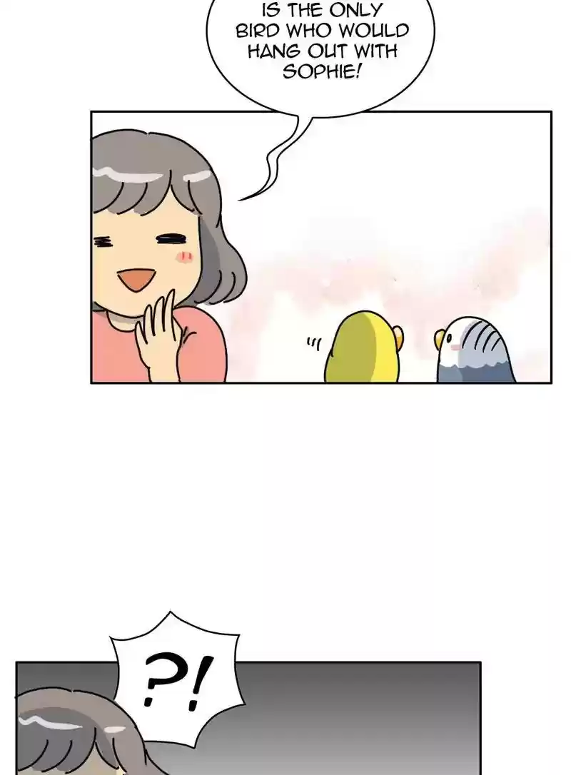 A Budgie's Life Chapter 333: Ep.332: