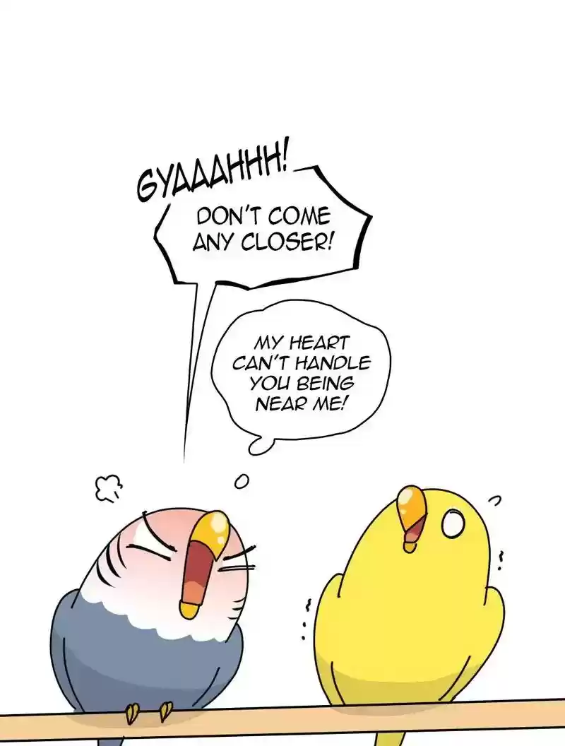 A Budgie's Life Chapter 333: Ep.332: