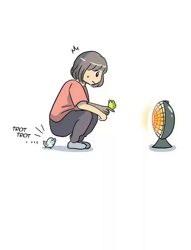 A Budgie's Life Chapter 334: Ep.333: