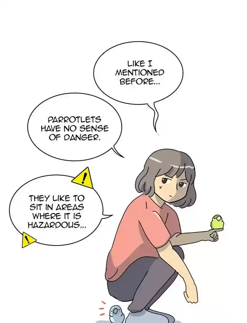 A Budgie's Life Chapter 334: Ep.333: