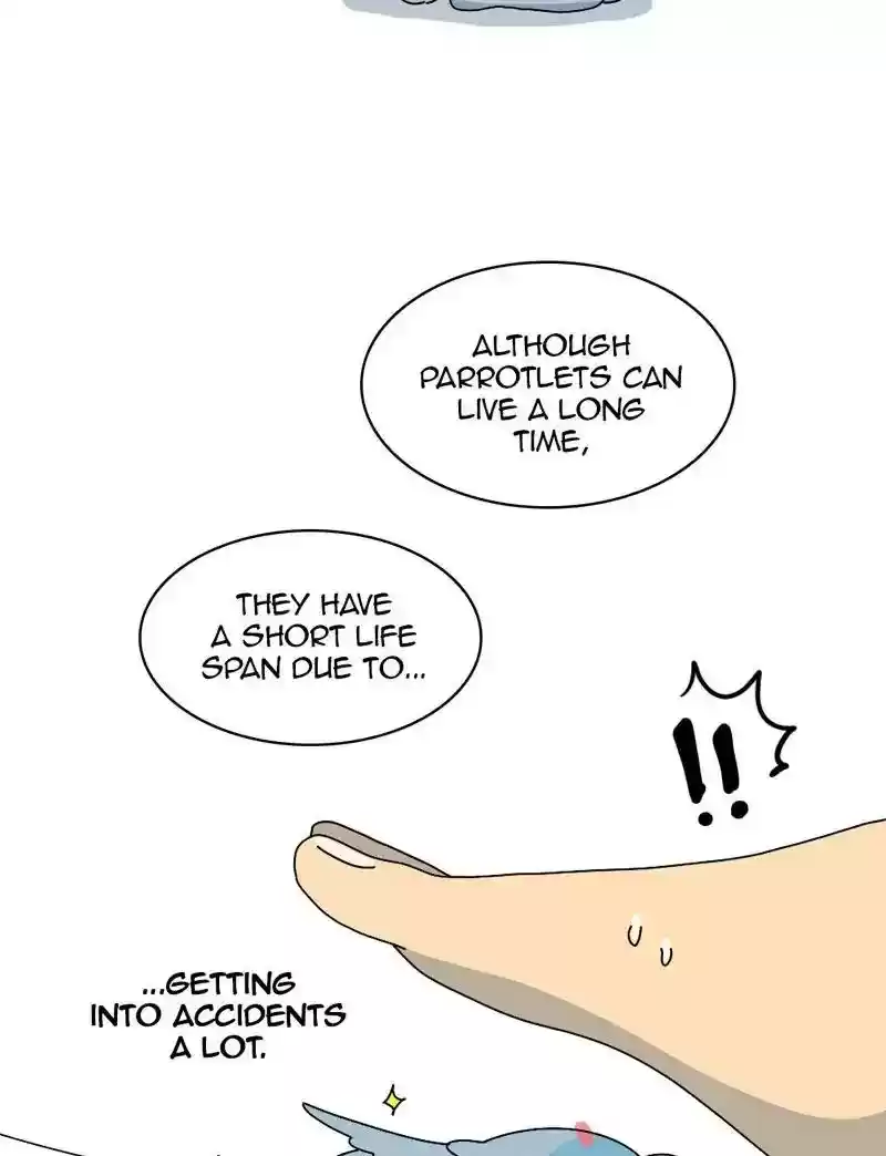 A Budgie's Life Chapter 334: Ep.333: