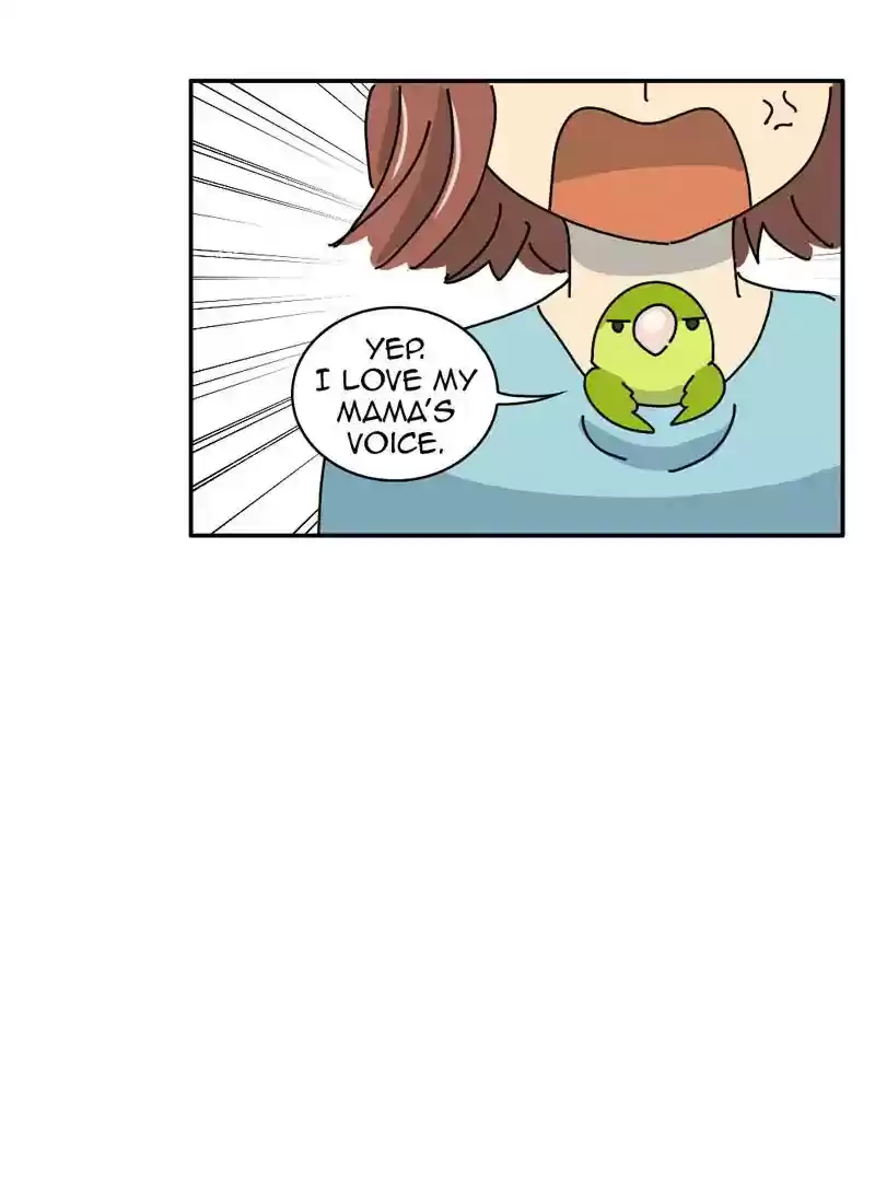 A Budgie's Life Chapter 336: Ep.335: