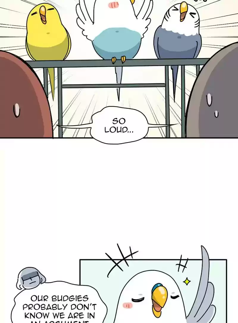 A Budgie's Life Chapter 336: Ep.335: