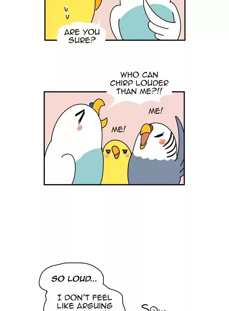 A Budgie's Life Chapter 336: Ep.335: