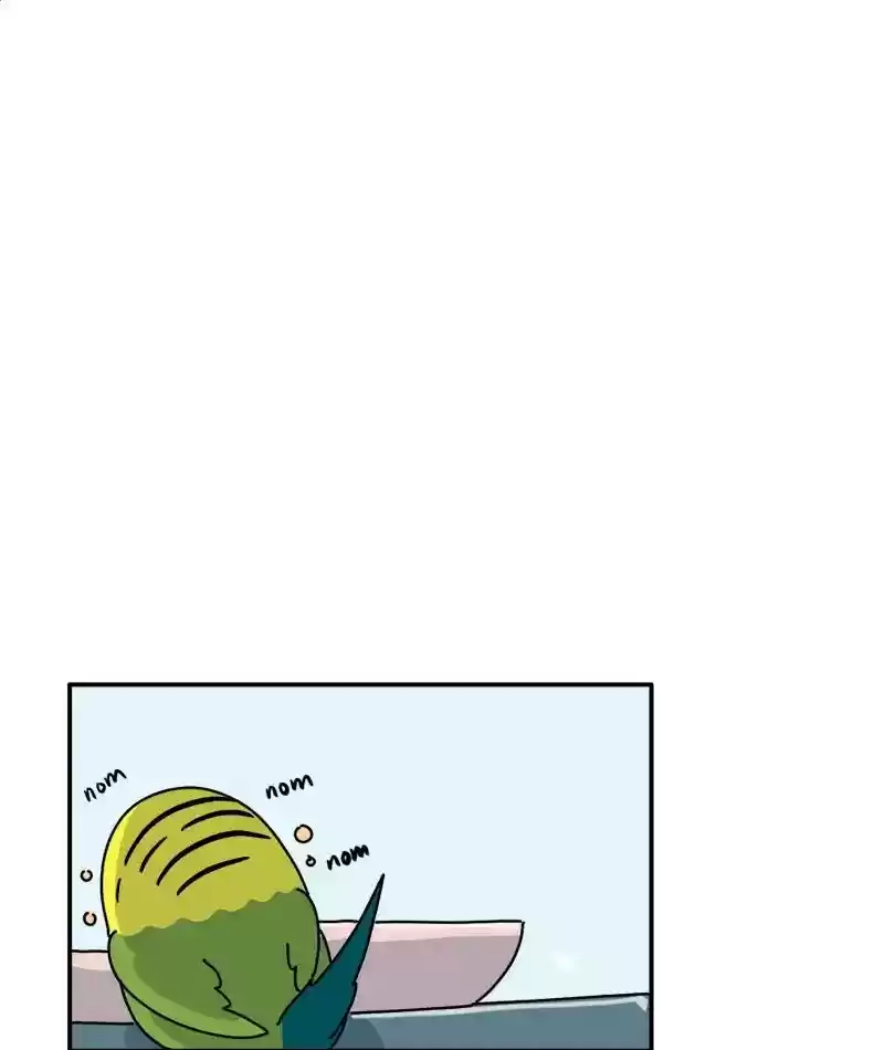 A Budgie's Life Chapter 337: Ep.336: