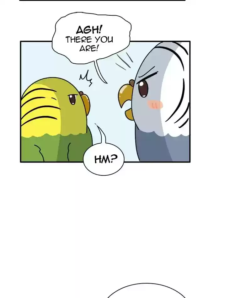 A Budgie's Life Chapter 337: Ep.336: