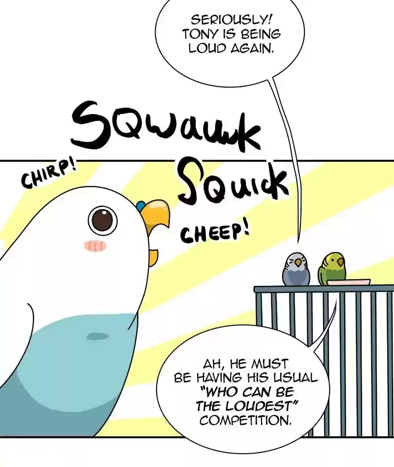 A Budgie's Life Chapter 337: Ep.336: