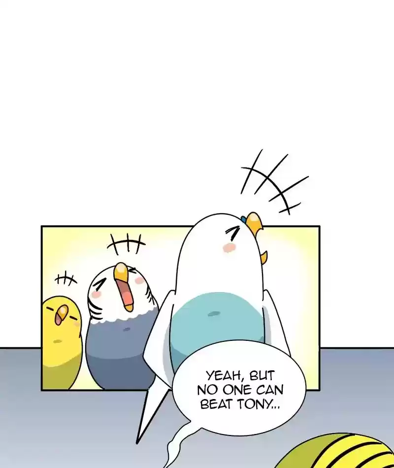 A Budgie's Life Chapter 337: Ep.336: