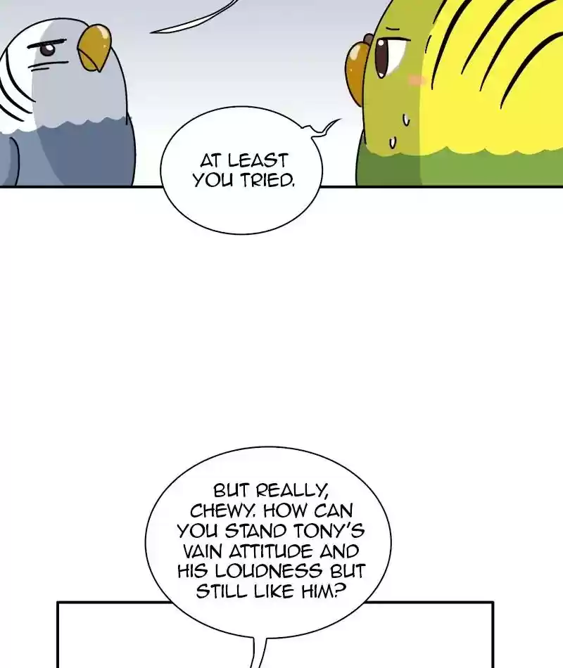 A Budgie's Life Chapter 337: Ep.336: