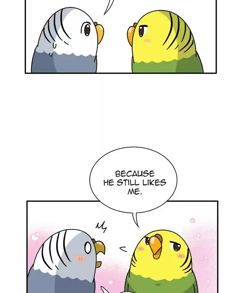 A Budgie's Life Chapter 337: Ep.336:
