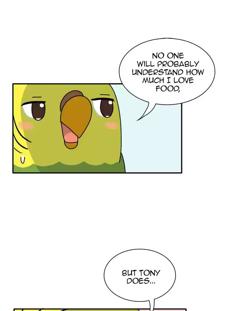 A Budgie's Life Chapter 337: Ep.336: