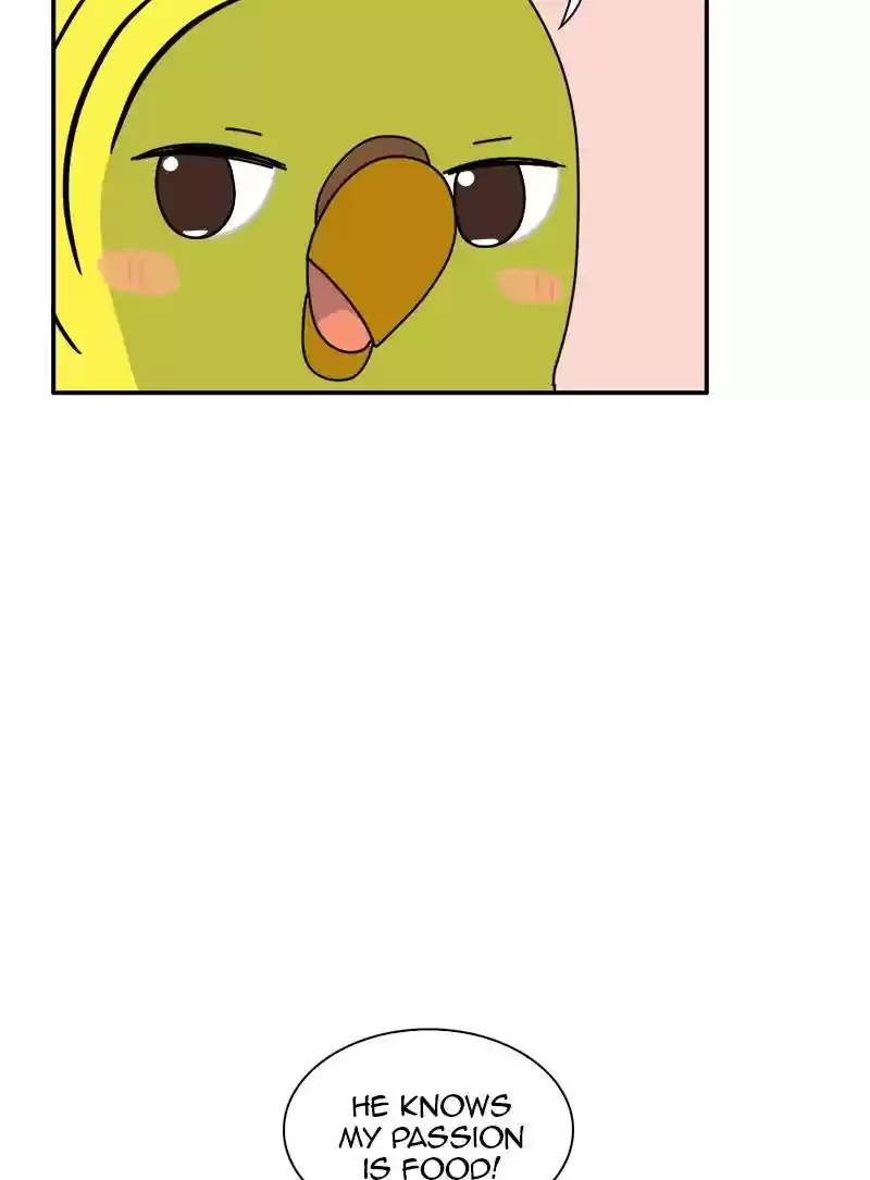 A Budgie's Life Chapter 337: Ep.336: