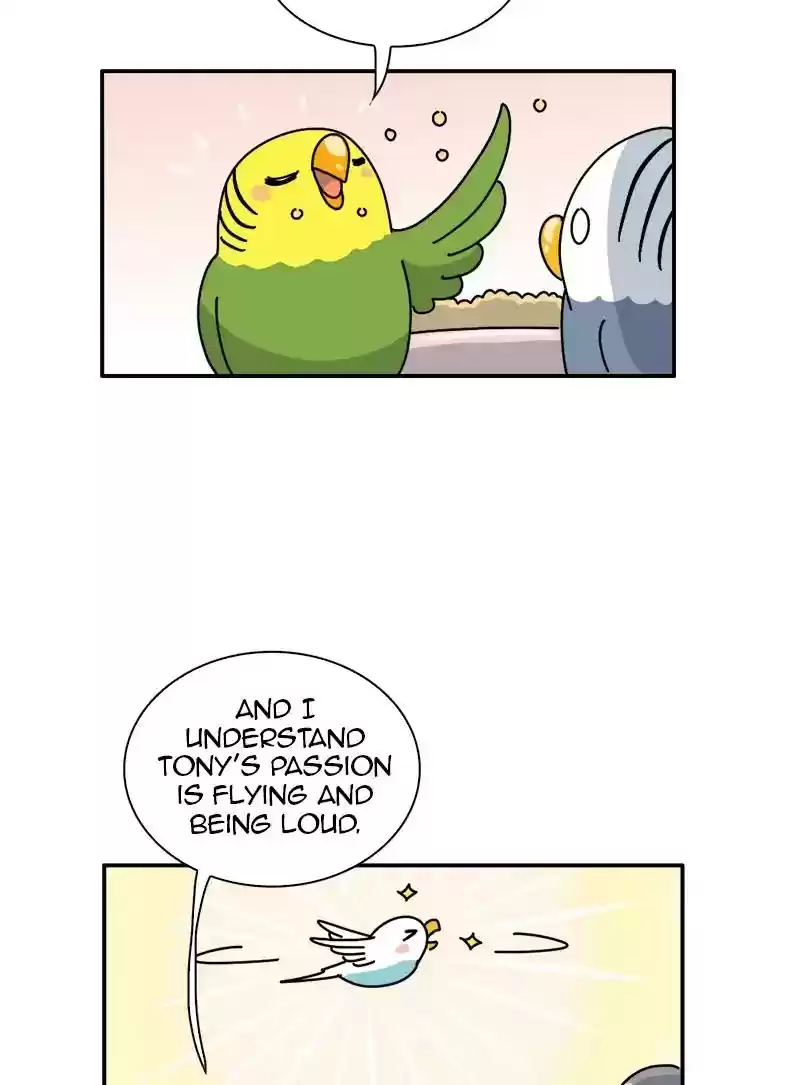 A Budgie's Life Chapter 337: Ep.336: