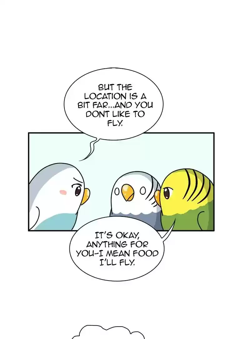 A Budgie's Life Chapter 337: Ep.336: