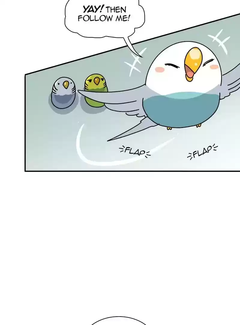 A Budgie's Life Chapter 337: Ep.336: