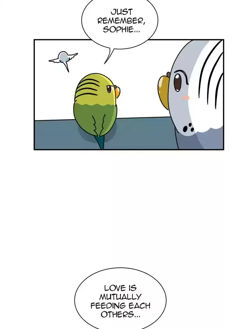 A Budgie's Life Chapter 337: Ep.336: